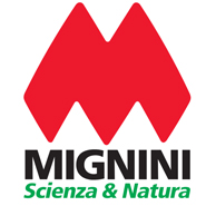 Mignini